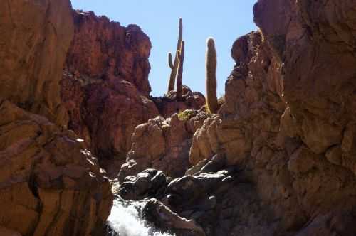 TREKKING NEL DESERTO DI ATACAMA 2015